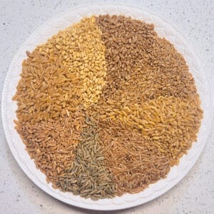 8 varieties of wheat berries on a plate