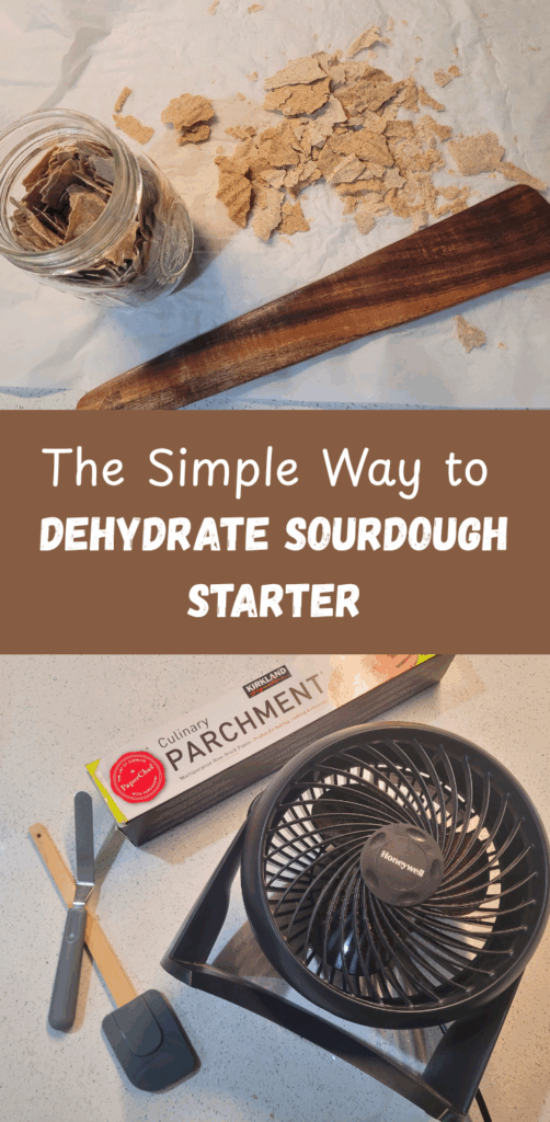 2 Pinterest Dehydrate Sourdough Starter