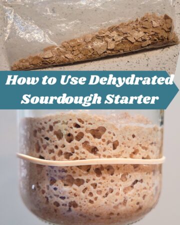 a picture of dehydrated sourdough starter and a picture of alive starter