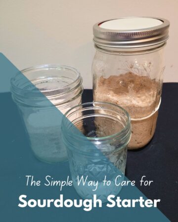 3 jars each filled with flour, water, and sourdough starter