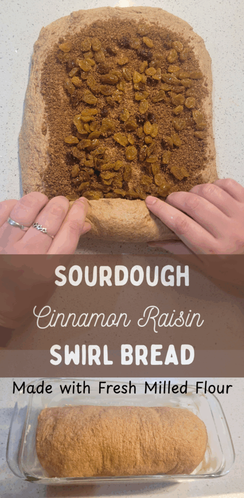 Pinterest 1 Sourdough Cinnamon Raisin Swirl Bread