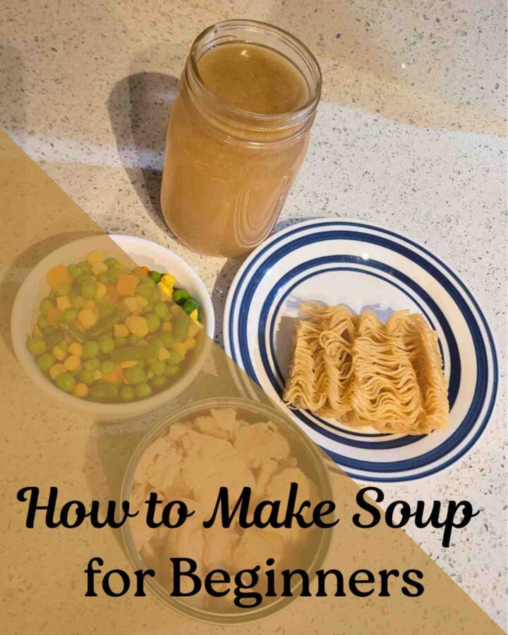 ingredients for chicken noodle soup