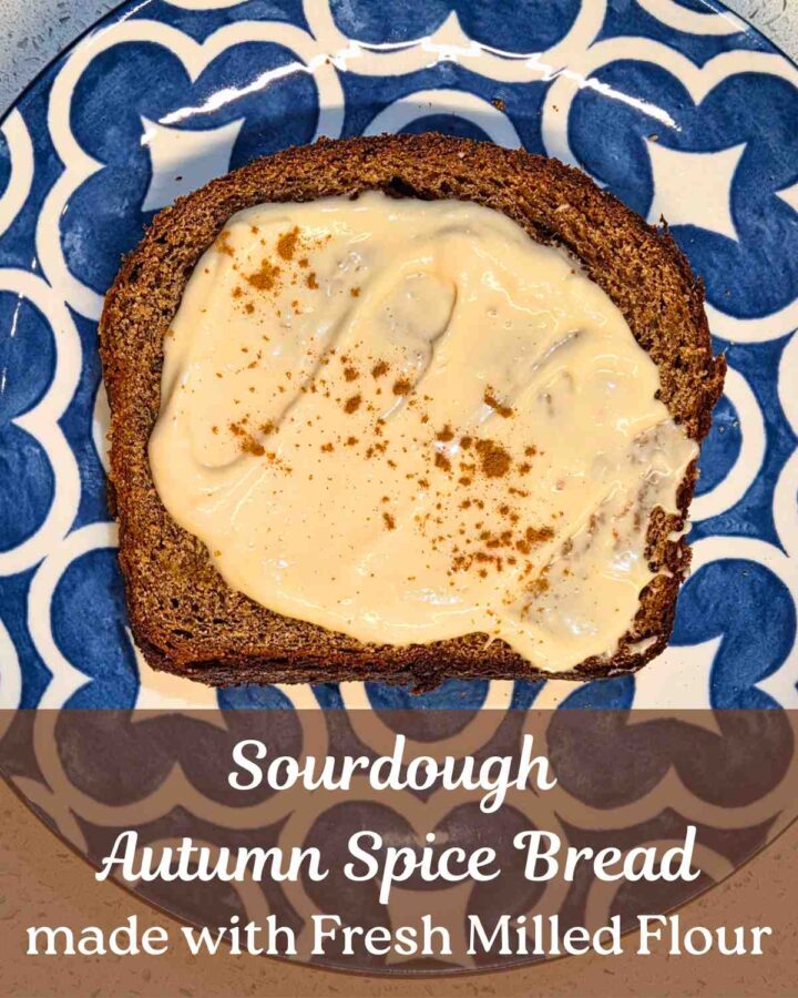 piece of sourdough autumn spice bread on a plate covered in cream cheese