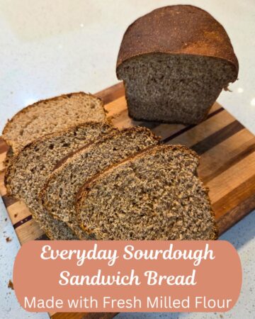 a loaf of everyday sourdough sandwich bread sliced on a cutting board
