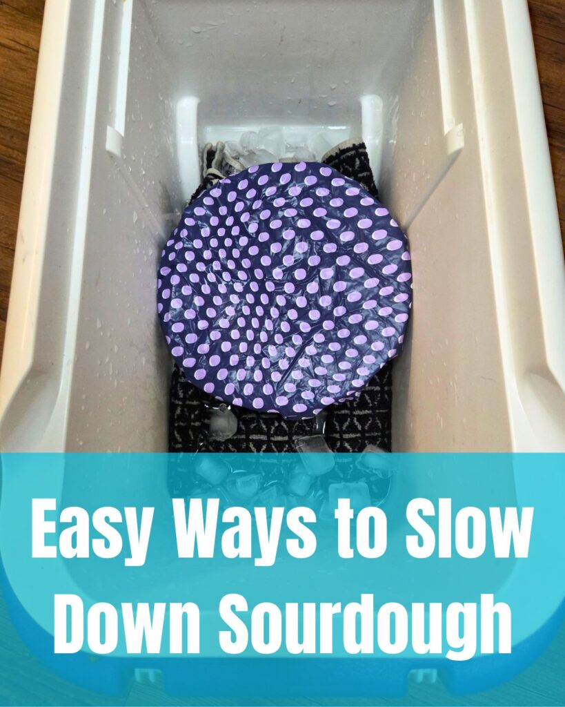 a cooler with a towel, ice cubes, water, and a covered bowl of dough