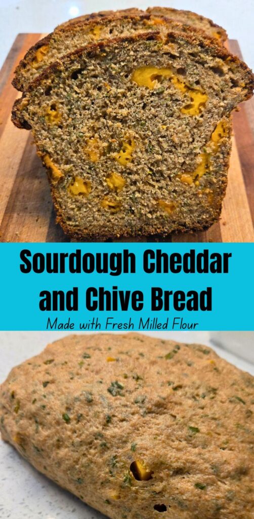 Pinterest 1 - Sourdough Cheddar and Chive Bread a close up of sourdough cheddar and chive bread and a close up of the dough