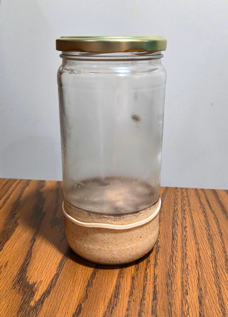a jar of sourdough starter discard with a black liquid on top