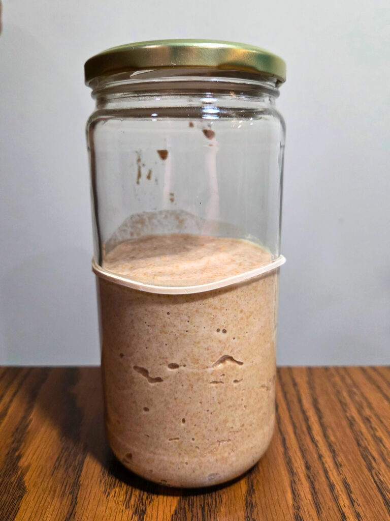 a jar of sourdough starter with a rubber band on it
